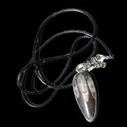 Orthoceras silver-plated oval pendant 42*19*10mm 14.6g in bright sunshine