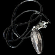 Orthoceras silver-plated oval pendant 42*19*10mm 14.6g in bright sunshine