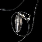 Orthoceras silver-plated oval pendant 42*19*10mm 14.6g in bright sunshine