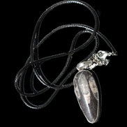 Orthoceras silver-plated oval pendant 42*19*10mm 14.6g in bright sunshine