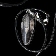 Orthoceras silver-plated oval pendant 42*19*10mm 14.6g in bright sunshine