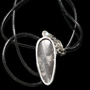 Orthoceras silver-plated oval pendant 42*19*10mm 14.6g in bright sunshine