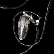 Orthoceras silver-plated oval pendant 42*19*10mm 14.6g in bright sunshine
