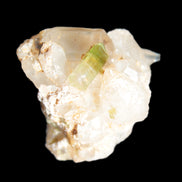 Bi-Colour Green Tourmaline crystal in matrix specimen 73ct 19g