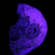 Gobi Agate Eyes specimen from Mongolia 40*30*16mm 24.5g