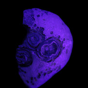 Gobi Agate Eyes specimen from Mongolia 40*30*16mm 24.5g