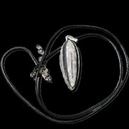 Orthoceras silver-plated oval pendant 45*15*10mm 13.6g in sunshine