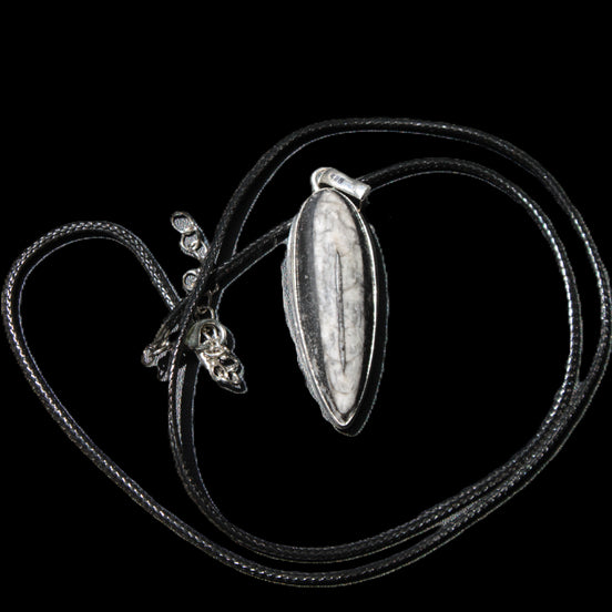 Orthoceras silver-plated oval pendant 45*15*10mm 13.6g in sunshine