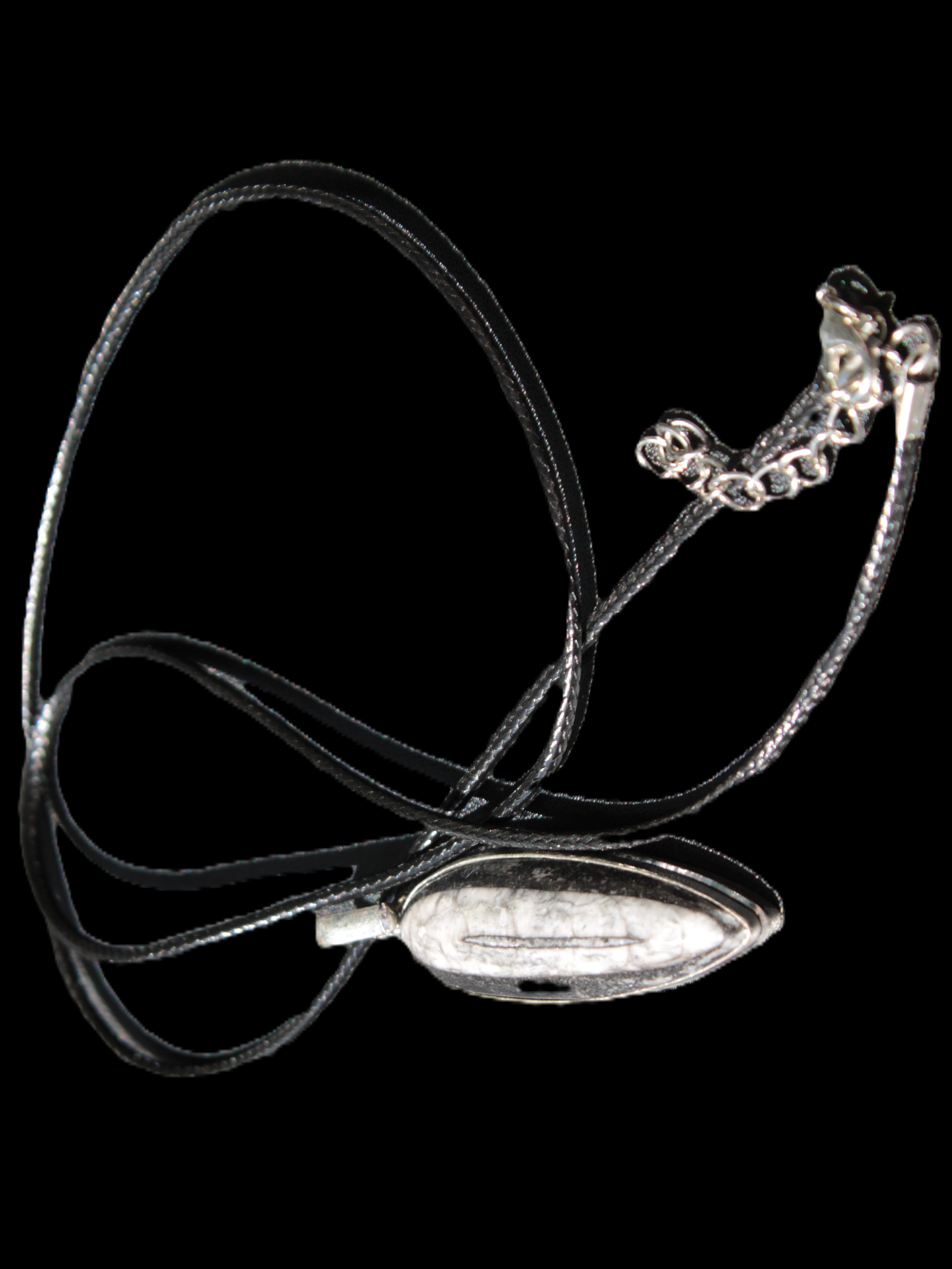 Orthoceras silver-plated oval pendant 45*15*10mm 13.6g in sunshine