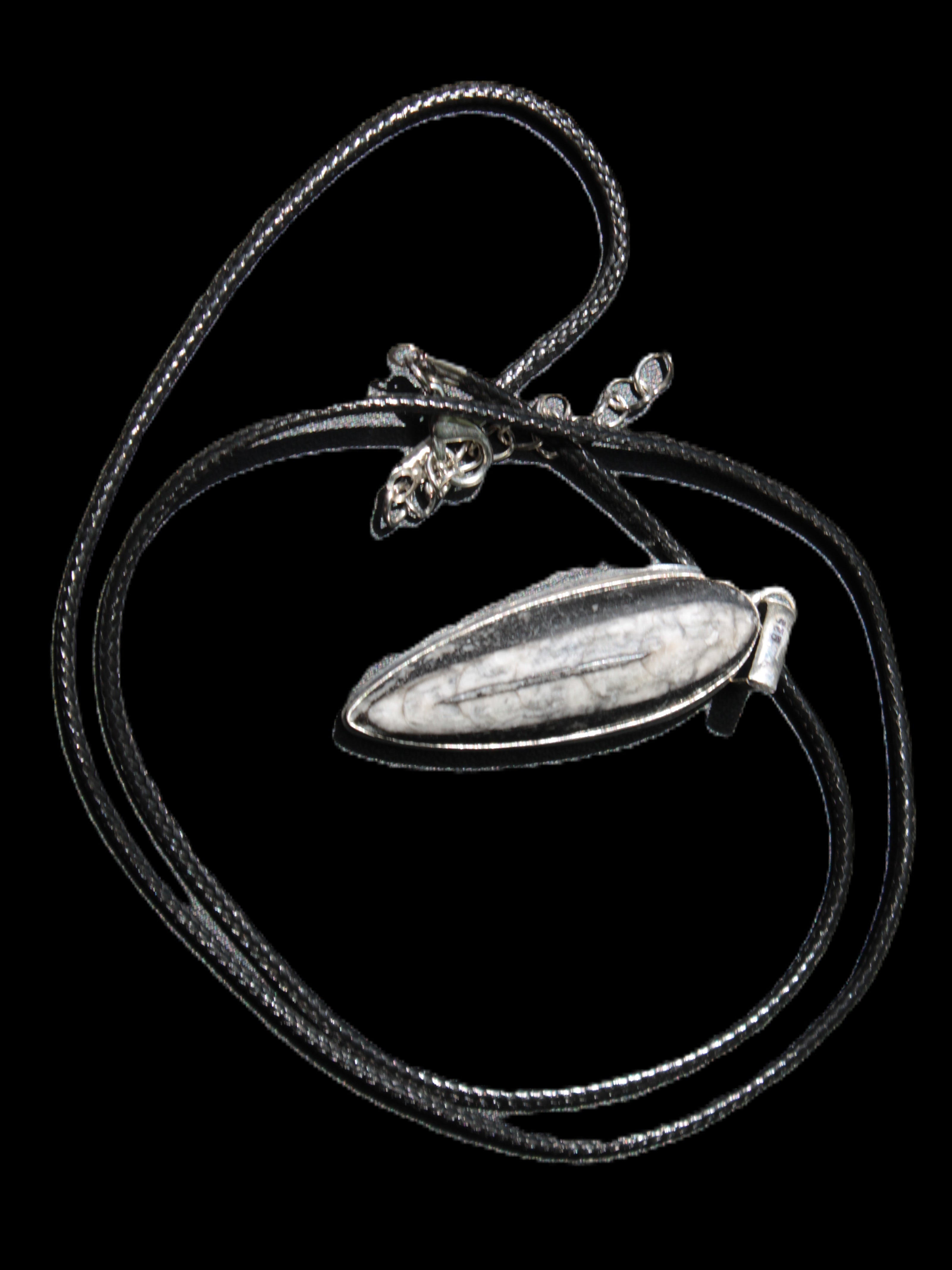 Orthoceras silver-plated oval pendant 45*15*10mm 13.6g in sunshine