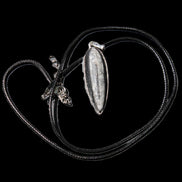 Orthoceras silver-plated oval pendant 45*15*10mm 13.6g in sunshine