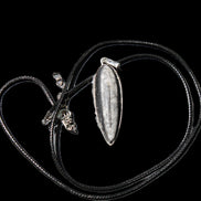 Orthoceras silver-plated oval pendant 45*15*10mm 13.6g in sunshine