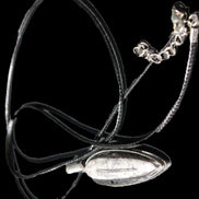 Orthoceras silver-plated oval pendant 45*15*10mm 13.6g in sunshine