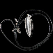 Orthoceras silver-plated oval pendant 45*15*10mm 13.6g in sunshine