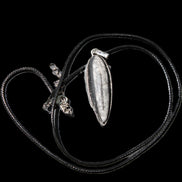 Orthoceras silver-plated oval pendant 45*15*10mm 13.6g in sunshine