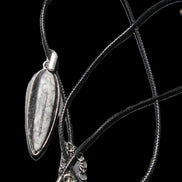 Orthoceras silver-plated oval pendant 45*15*10mm 13.6g in sunshine