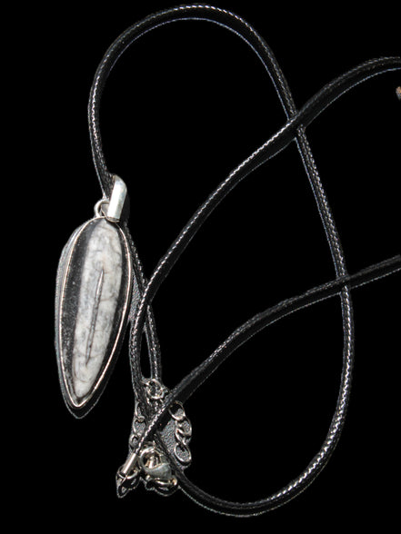 Orthoceras silver-plated oval pendant 45*15*10mm 13.6g in sunshine