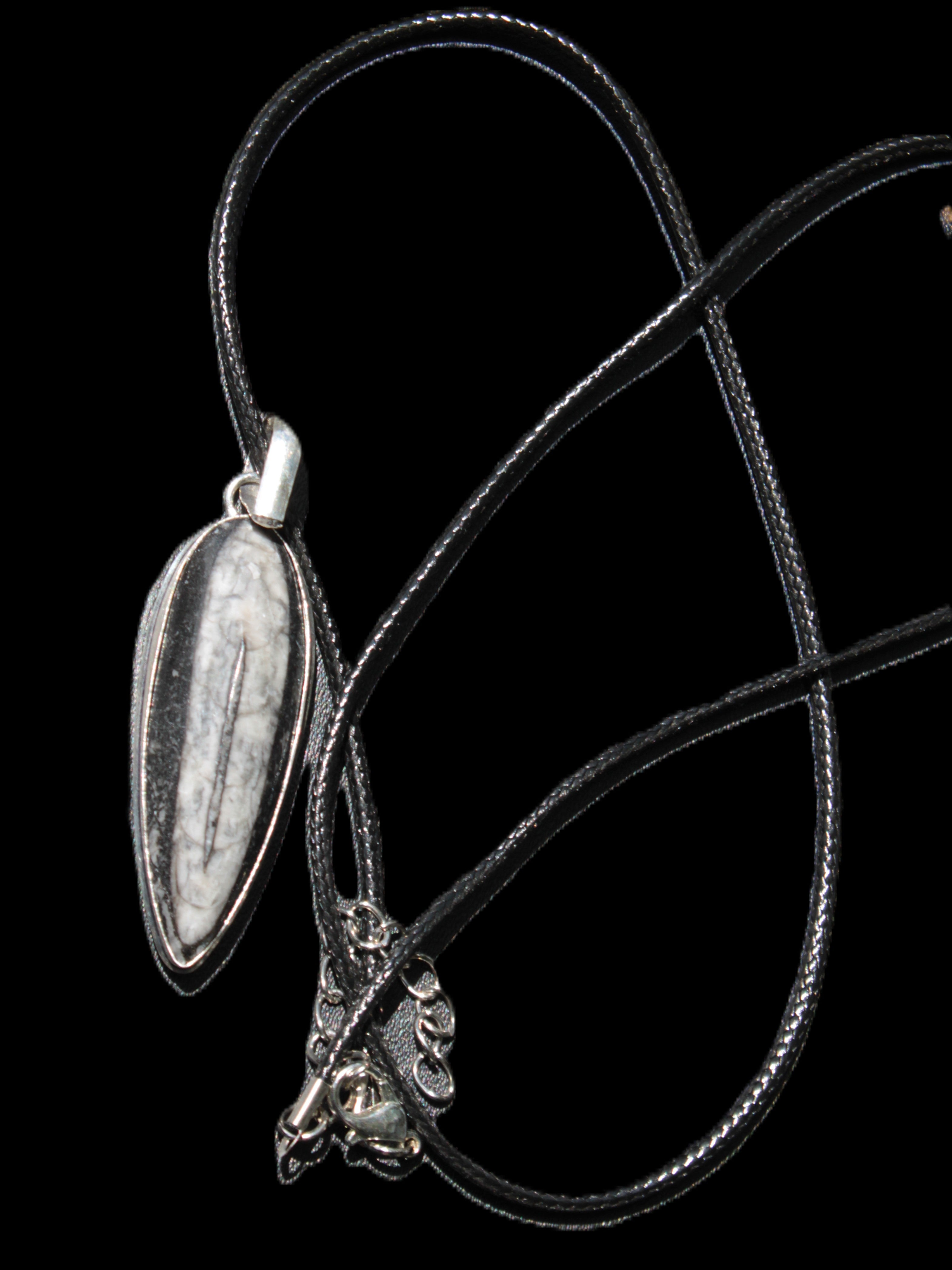 Orthoceras silver-plated oval pendant 45*15*10mm 13.6g in sunshine