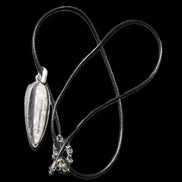 Orthoceras silver-plated oval pendant 45*15*10mm 13.6g in sunshine