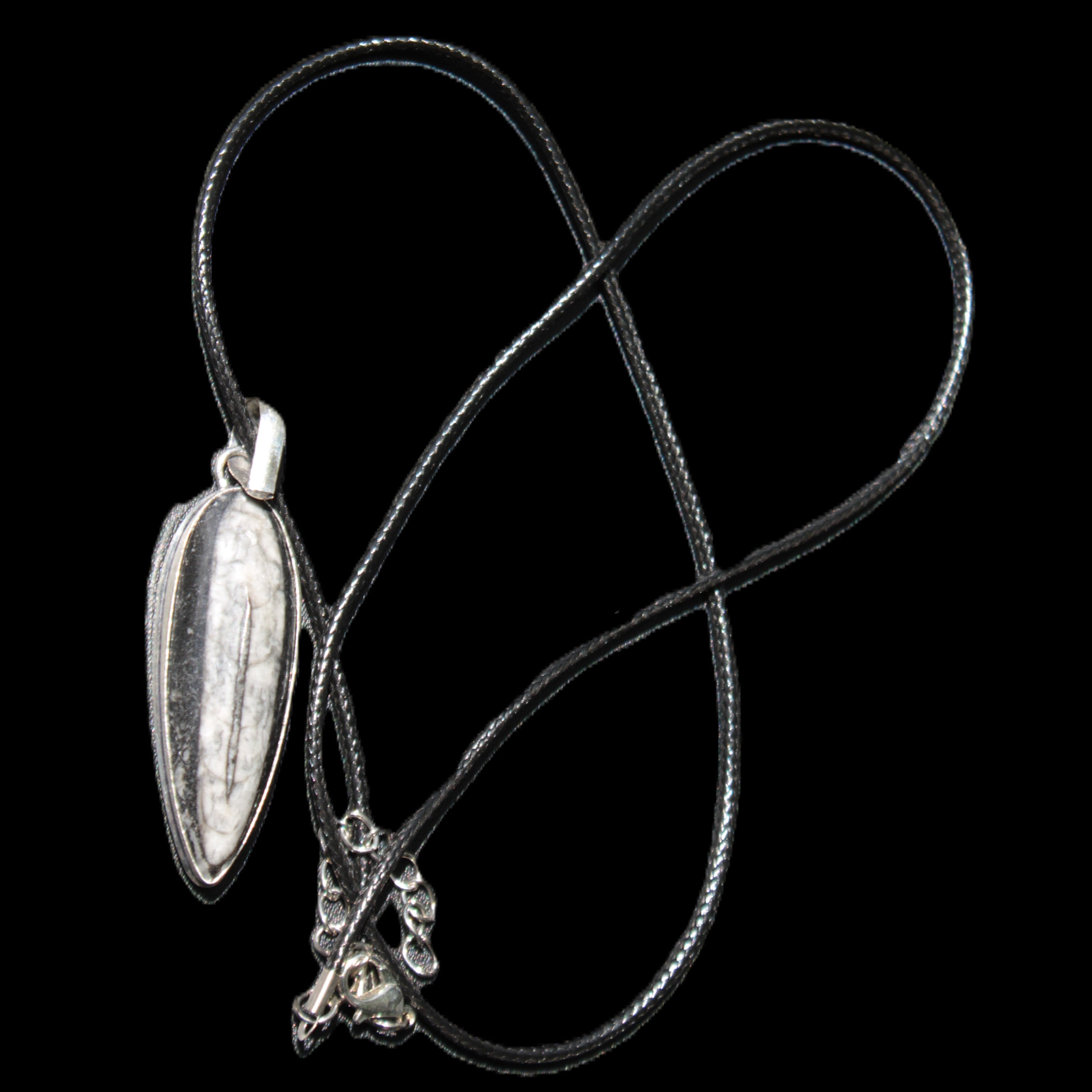 Orthoceras silver-plated oval pendant 45*15*10mm 13.6g in sunshine