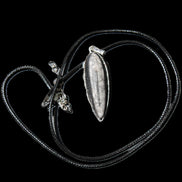 Orthoceras silver-plated oval pendant 45*15*10mm 13.6g in sunshine