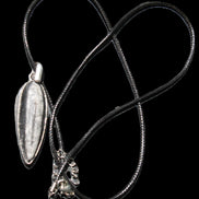 Orthoceras silver-plated oval pendant 45*15*10mm 13.6g in sunshine