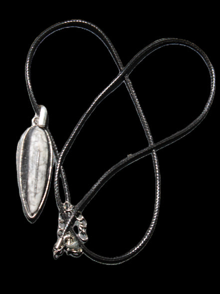 Orthoceras silver-plated oval pendant 45*15*10mm 13.6g in sunshine