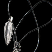 Orthoceras silver-plated oval pendant 45*15*10mm 13.6g in sunshine