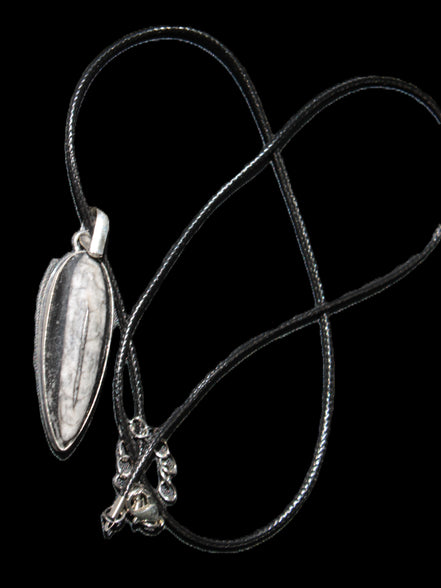 Orthoceras silver-plated oval pendant 45*15*10mm 13.6g in sunshine