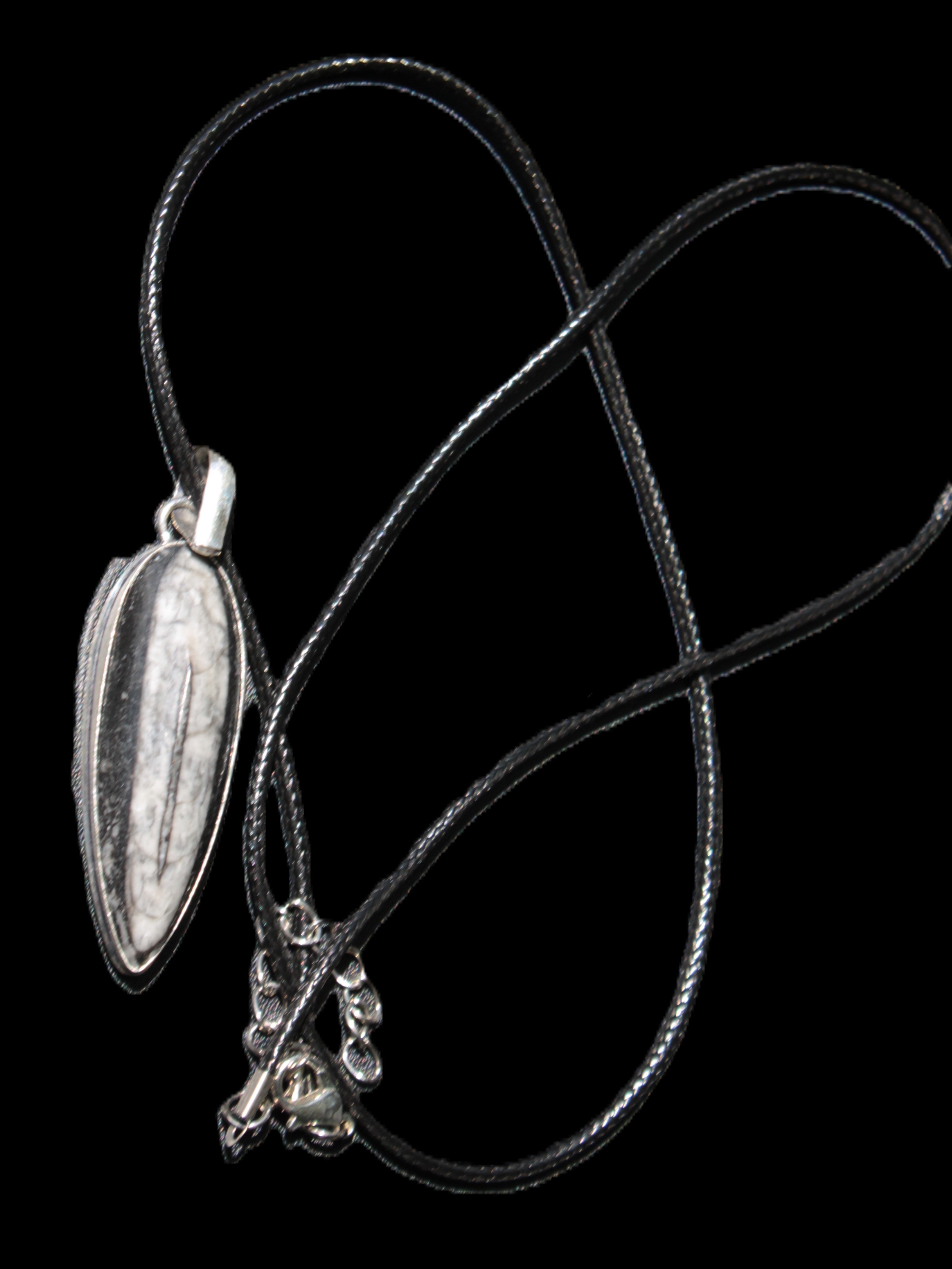 Orthoceras silver-plated oval pendant 45*15*10mm 13.6g in sunshine