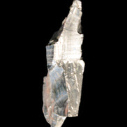 Noble Elite Shungite 7g in sunshine