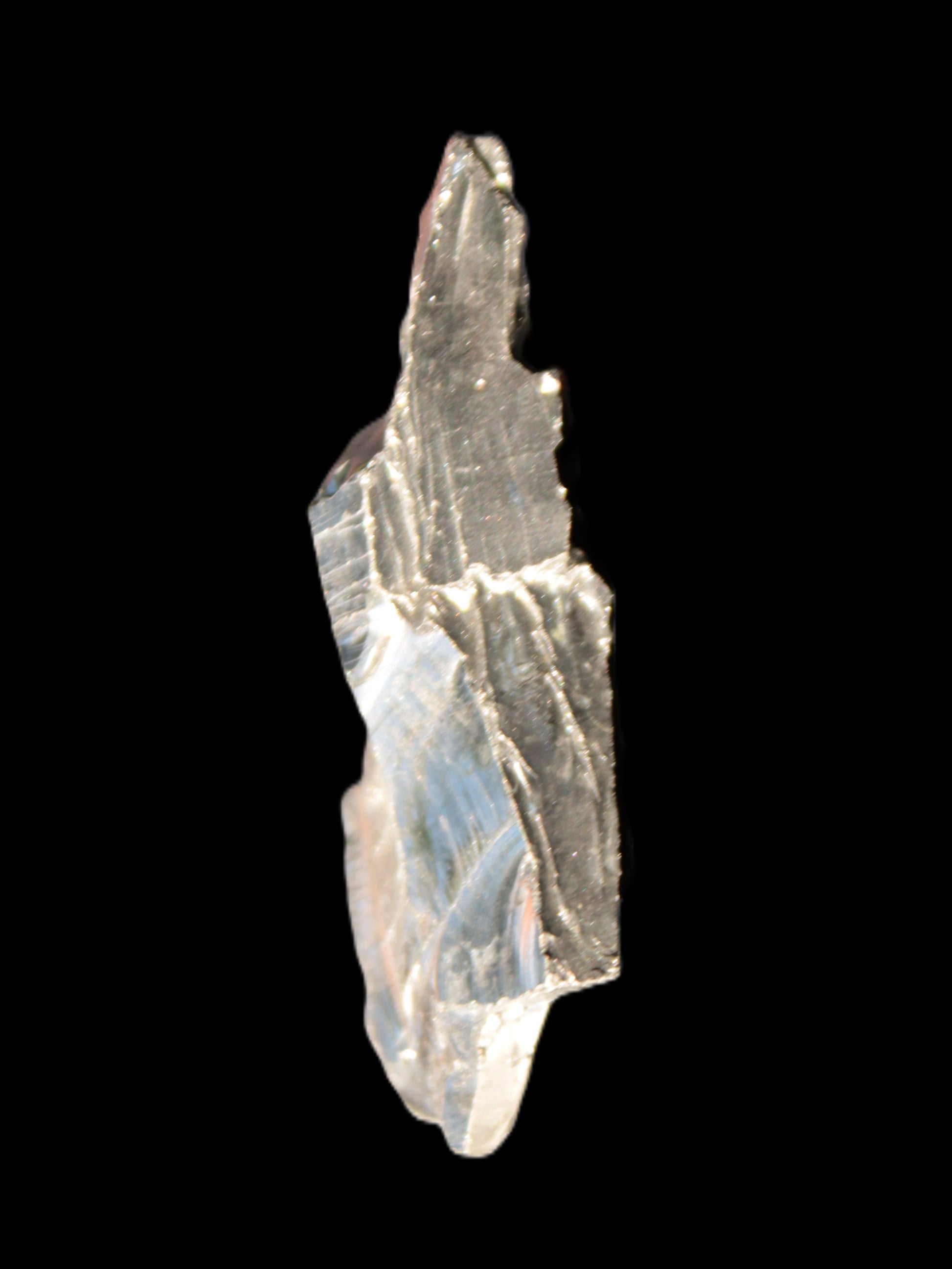 Noble Elite Shungite 7g in sunshine