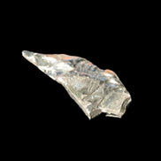 Noble Elite Shungite 7g in sunshine, reflecing Mark's red t-shirt