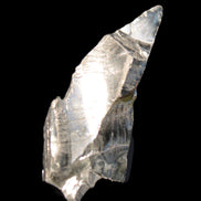 Noble Elite Shungite 7g in sunshine