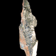 Noble Elite Shungite 7g in sunshine