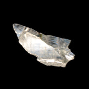 Noble Elite Shungite 7g in sunshine