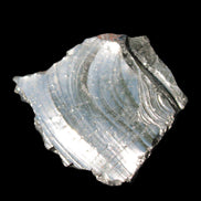 Noble Elite Shungite 18.9g in sunshine reflecting the sky