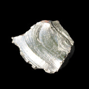 Noble Elite Shungite 18.9g in sunshine reflecting the sky