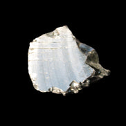 Noble Elite Shungite 7-18.9g