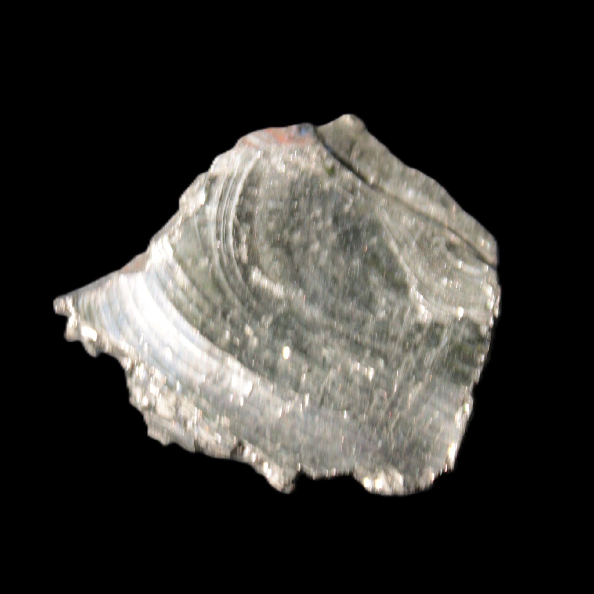 Noble Elite Shungite 18.9g in sunshine reflecting the sky