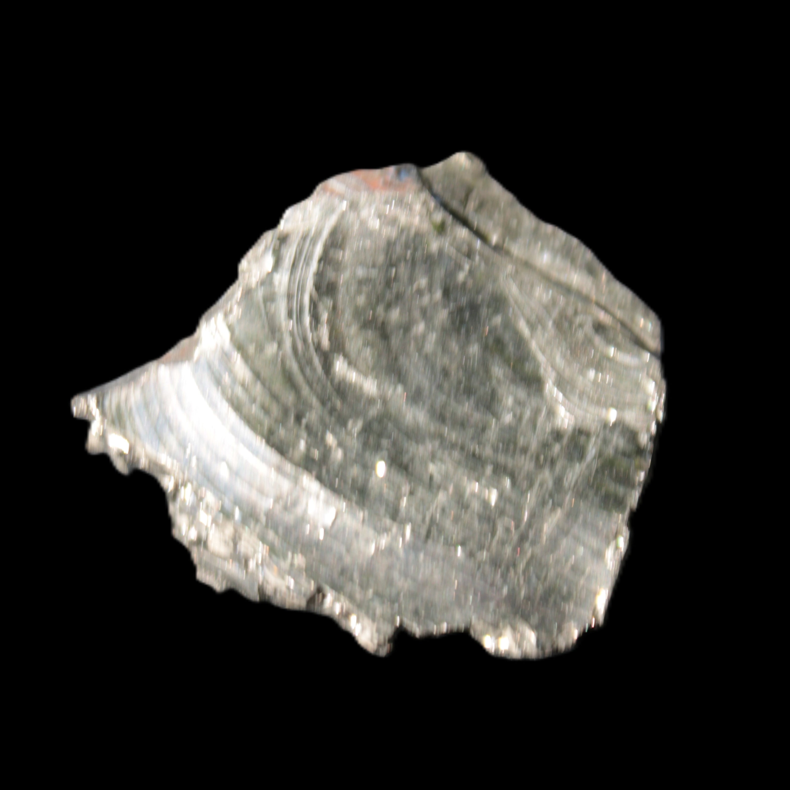 Noble Elite Shungite 18.9g in sunshine reflecting the sky