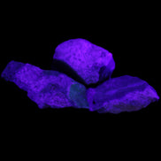 Chrysocolla Shattuckite Malachite 3 natural stones 10g in UV light - Rocks and Things Store