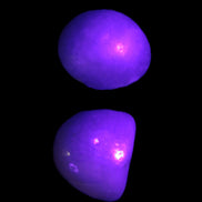 Purple/Lilac Kunzite 2 polished crystals 10g in UV light - Rocks and Things Store