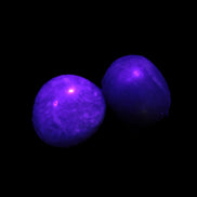 Purple/Lilac Kunzite 2 polished crystals 10g in UV light - Rocks and Things Store