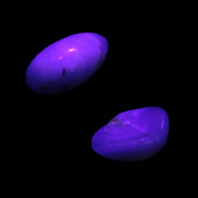 Purple/Lilac Kunzite 2 polished crystals 10g in UV light - Rocks and Things Store