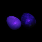 Purple/Lilac Kunzite 2 polished crystals 10g in UV light - Rocks and Things Store