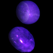 Purple/Lilac Kunzite 2 polished crystals 10g in UV light - Rocks and Things Store