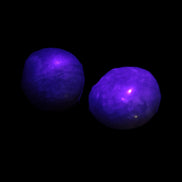 Purple/Lilac Kunzite 2 polished crystals 10g in UV light - Rocks and Things Store