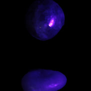 Purple/Lilac Kunzite 2 polished crystals 10g in UV light - Rocks and Things Store