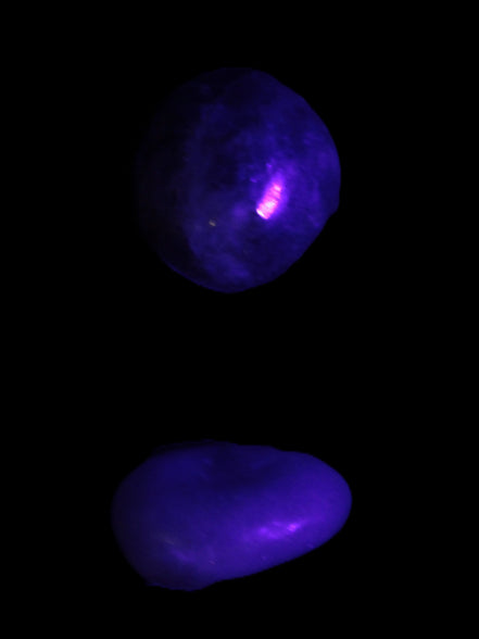 Purple/Lilac Kunzite 2 polished crystals 10g in UV light - Rocks and Things Store
